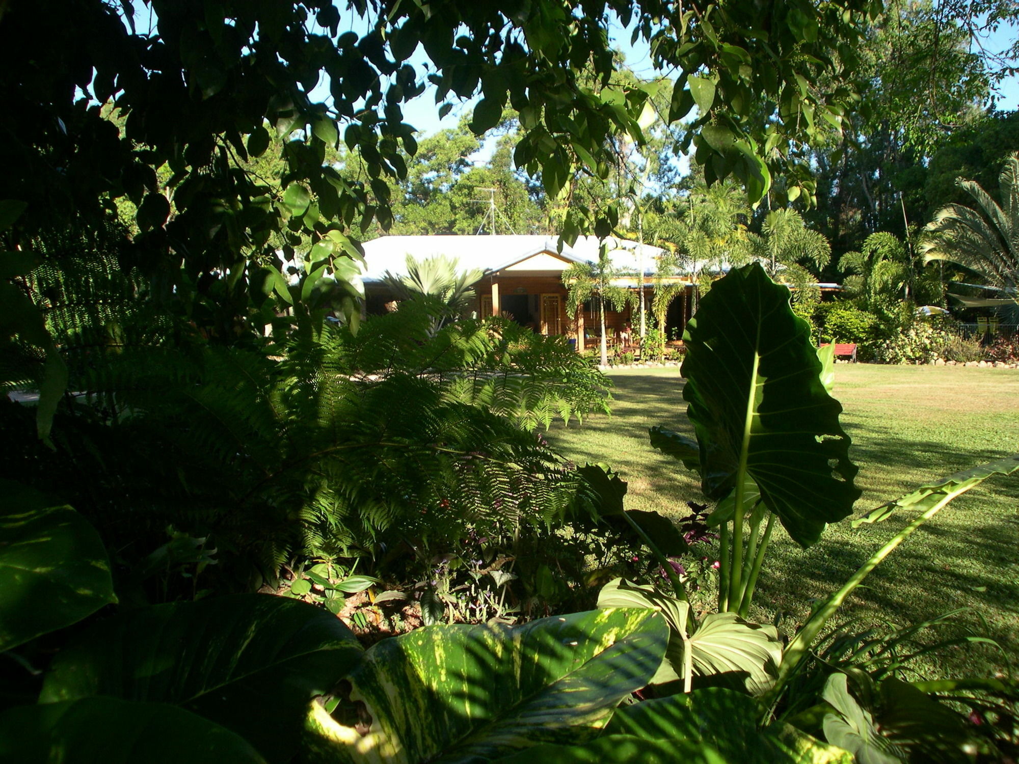 Hibiscus Lodge Bed & Breakfast Wongaling Beach Eksteriør billede